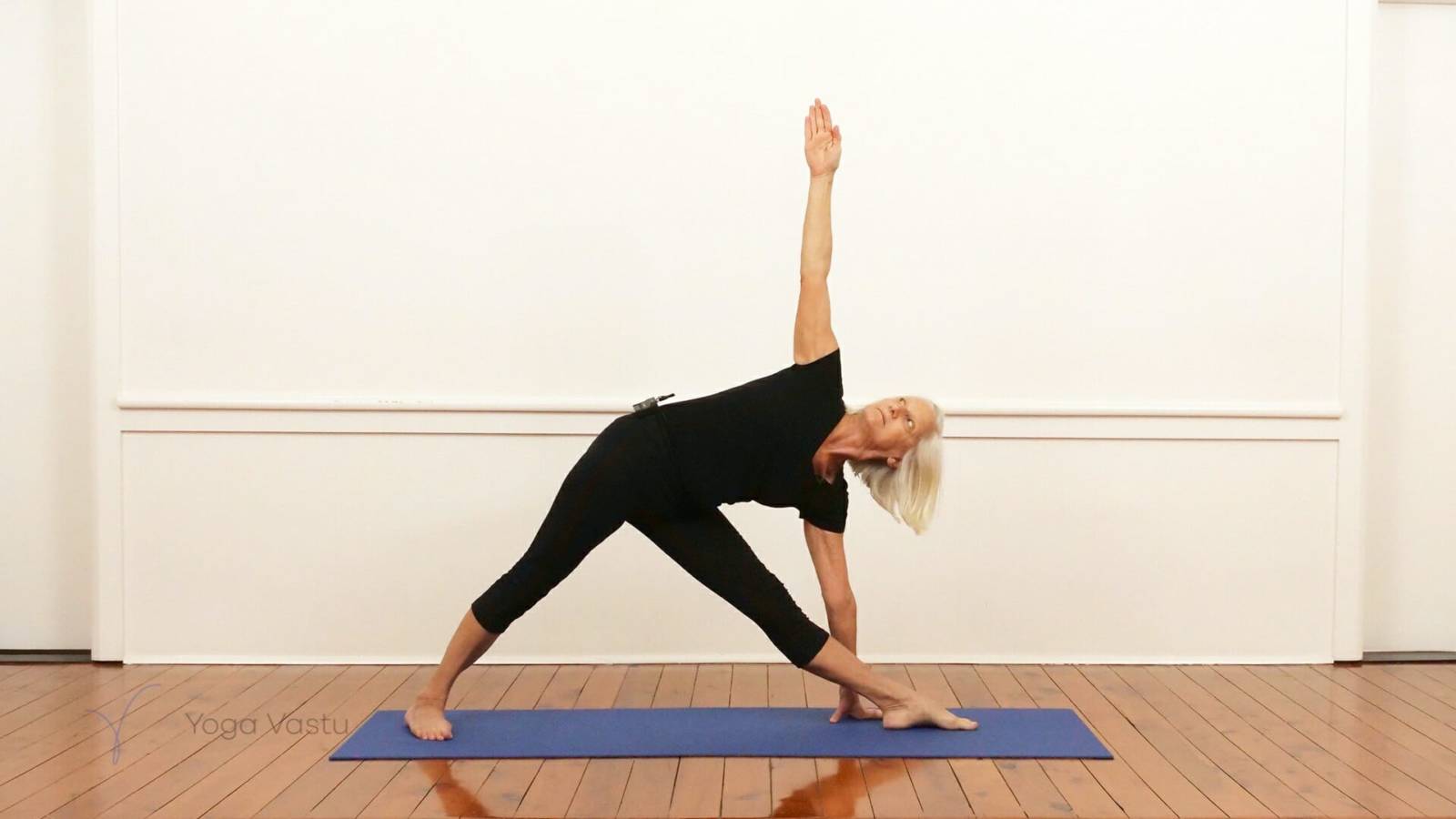 Standing Poses for Experienced Students (411)