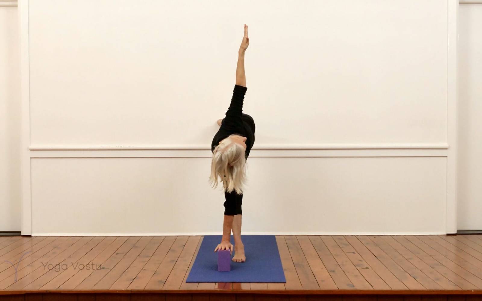 Online Iyengar yoga videos | Standing Poses for General Students (211)