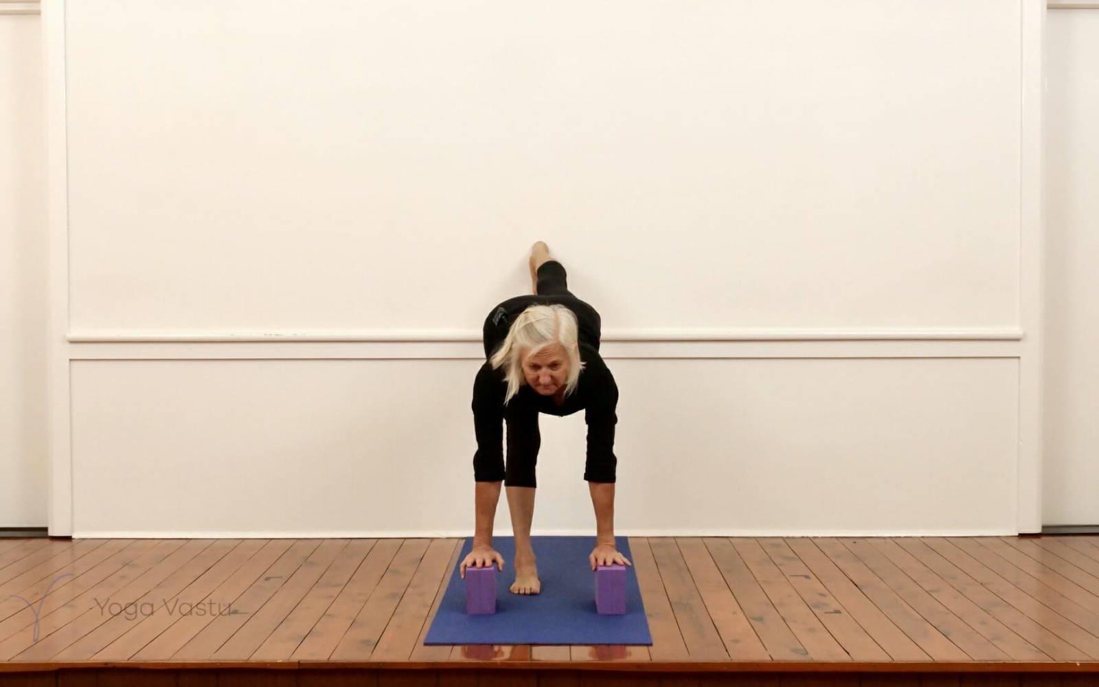 Online Iyengar yoga videos | Standing Poses for General Students (211)