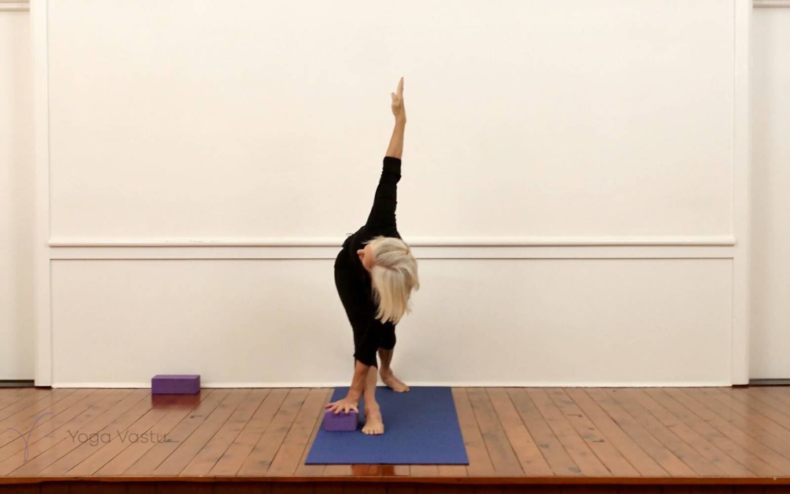 Online Iyengar yoga videos | Standing Poses for General Students (211)