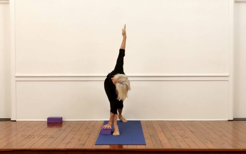 Revolved Side Angle Pose (Parivritta Parsvakonasana) | Iyengar Yoga