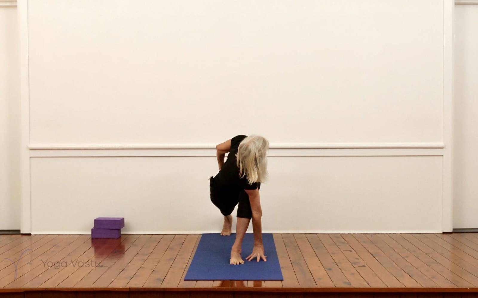 Online Iyengar yoga videos | Standing Poses for General Students (211)