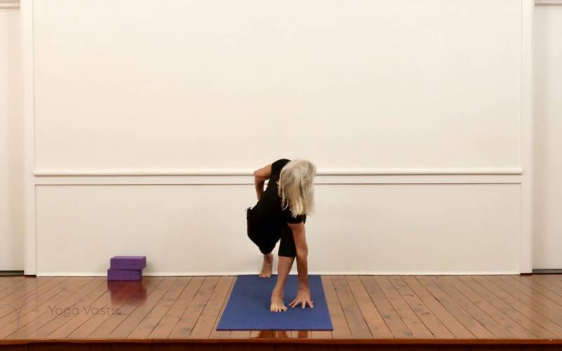 Revolved Side Angle Pose (Parivritta Parsvakonasana) | Iyengar Yoga