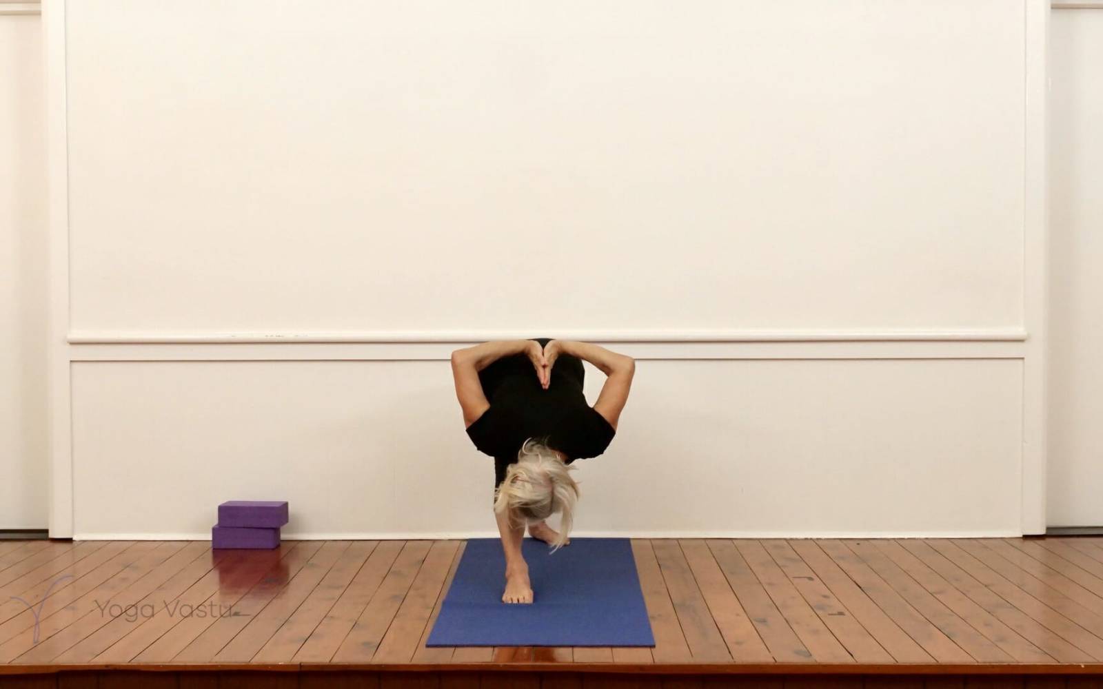 Online Iyengar yoga videos | Standing Poses for General Students (211)