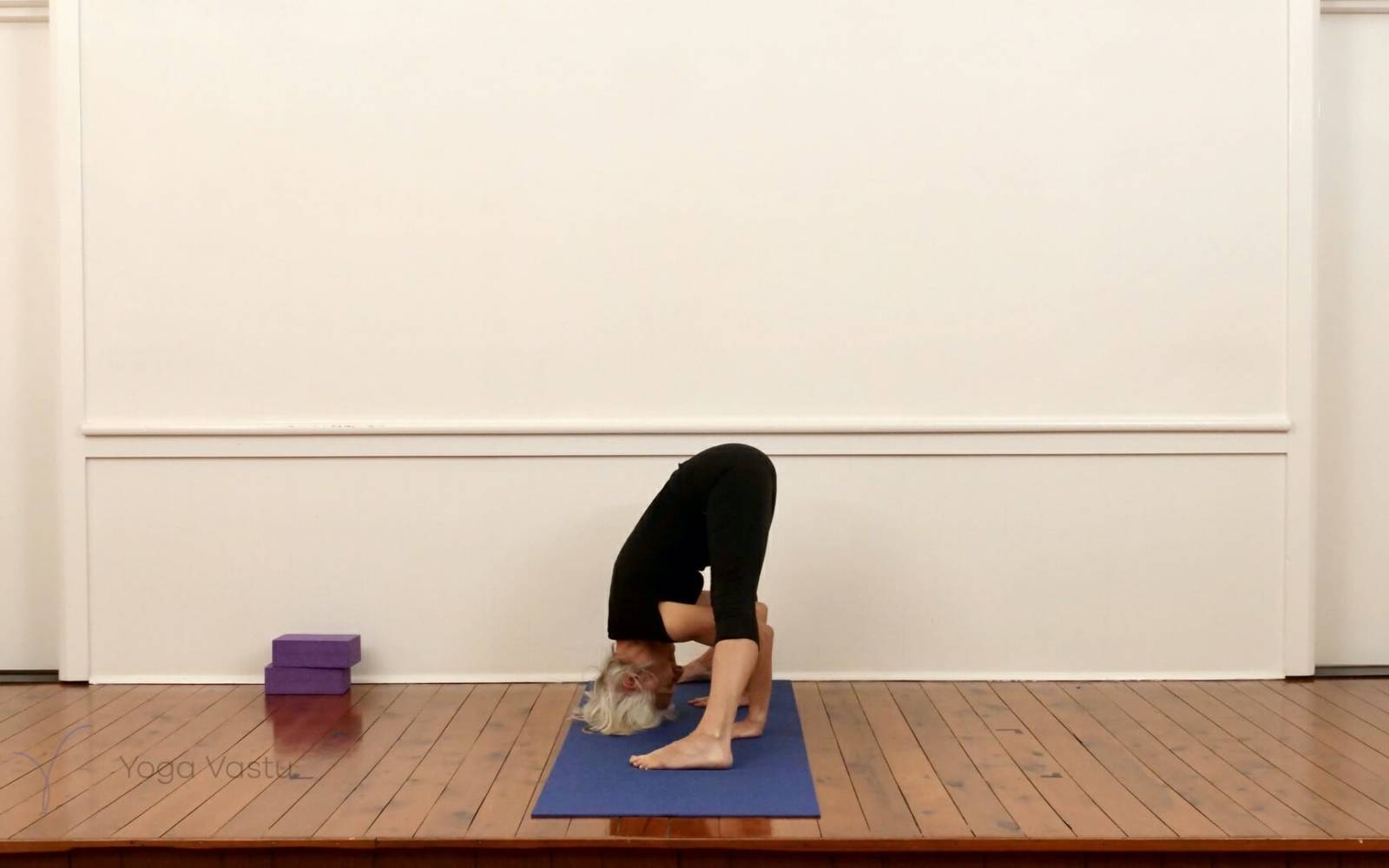 Online Iyengar yoga videos | Standing Poses for General Students (211)