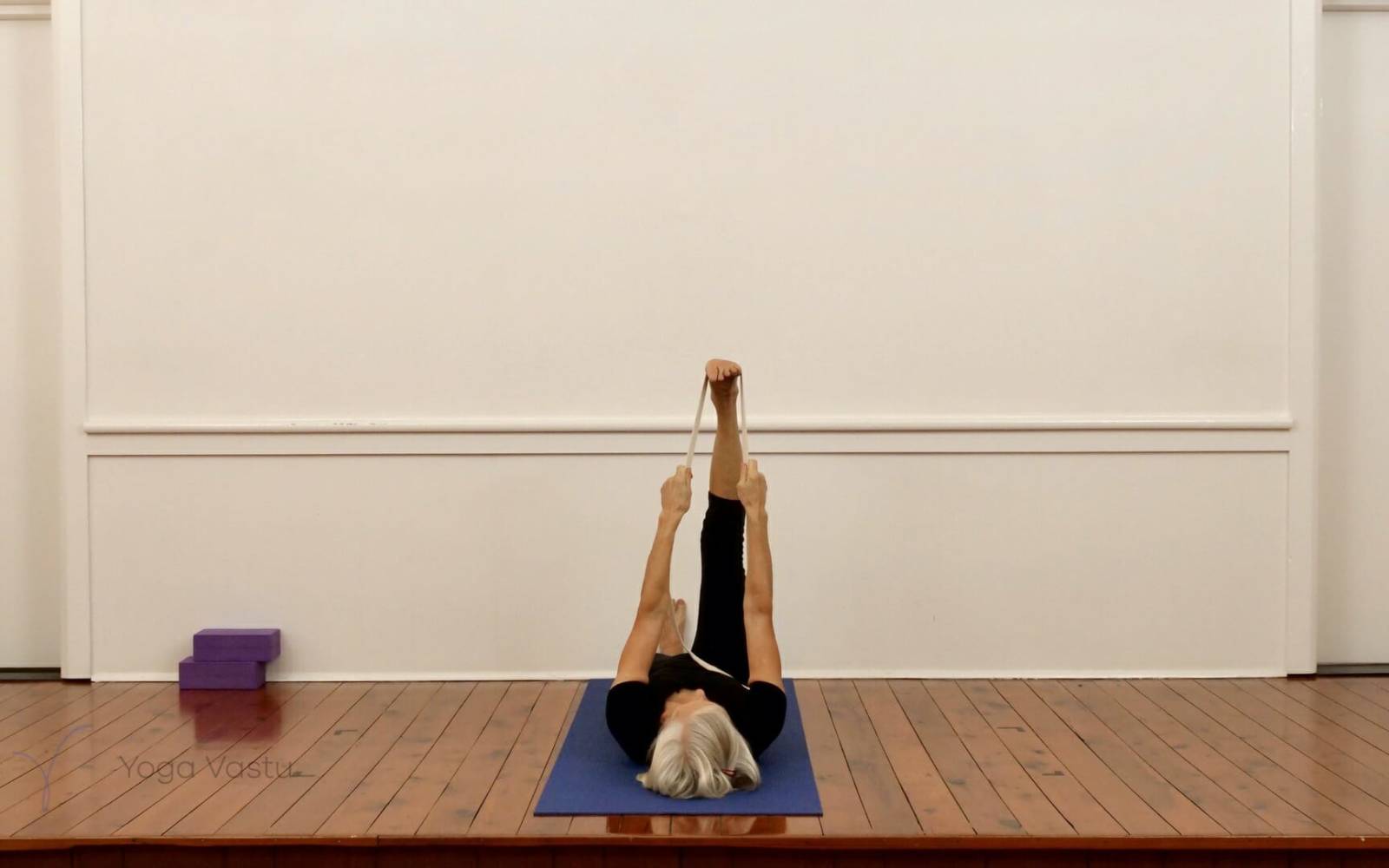 Online Iyengar yoga videos | Standing Poses for General Students (211)