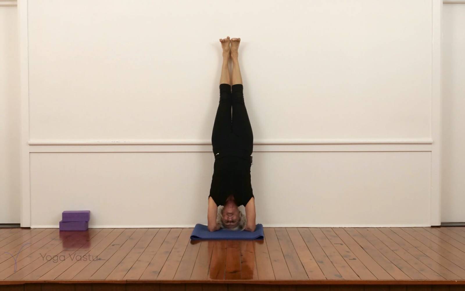Online Iyengar yoga videos | Standing Poses for General Students (211)