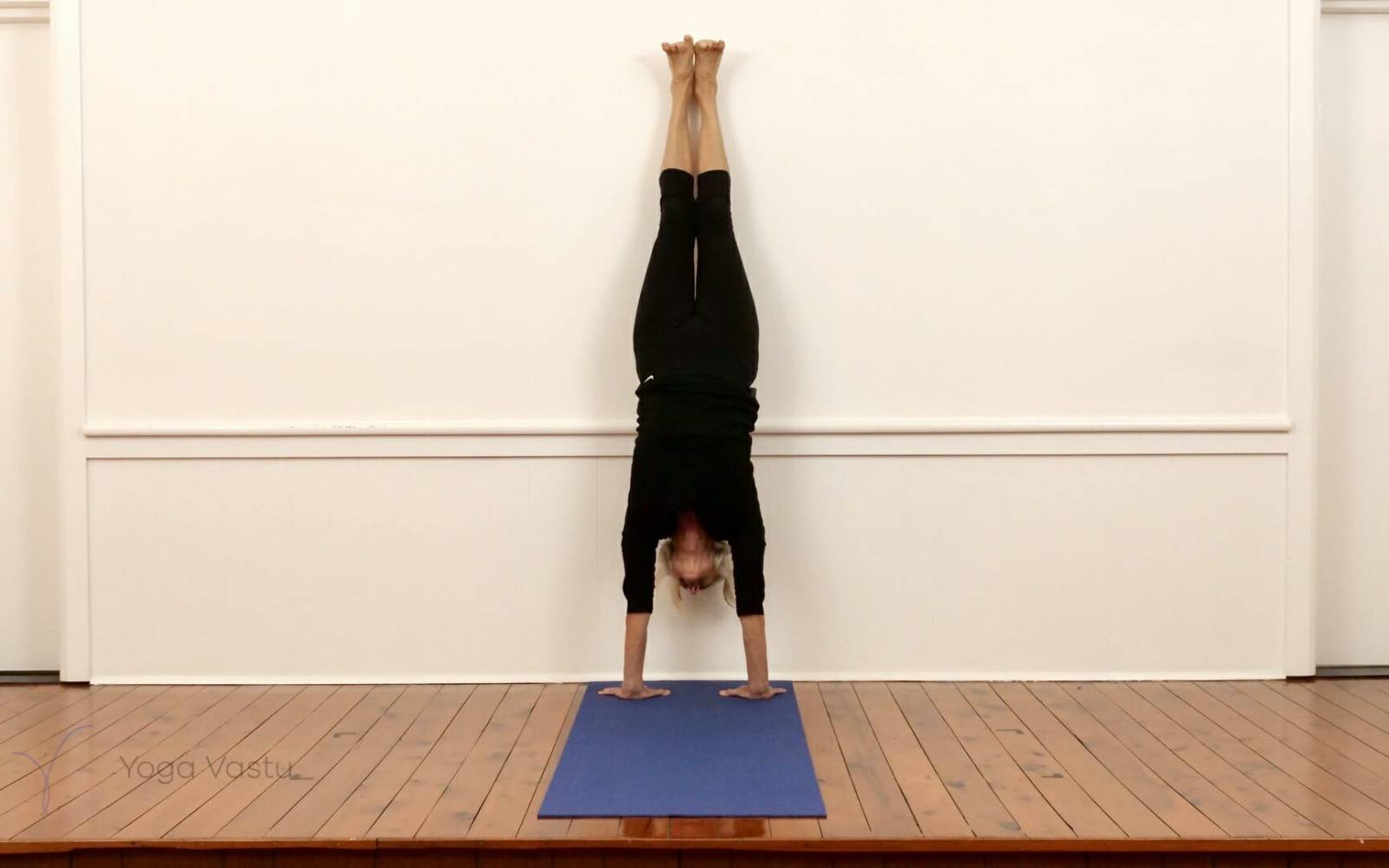 Forearm stand yoga pose - Pincha Mayurasana progression - Iyengar yoga 