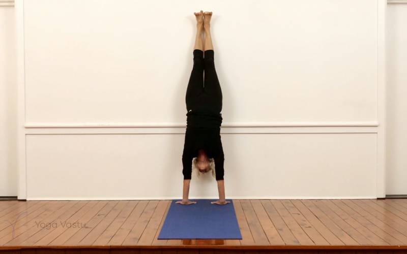 Revolved Side Angle Pose (Parivritta Parsvakonasana) | Iyengar Yoga