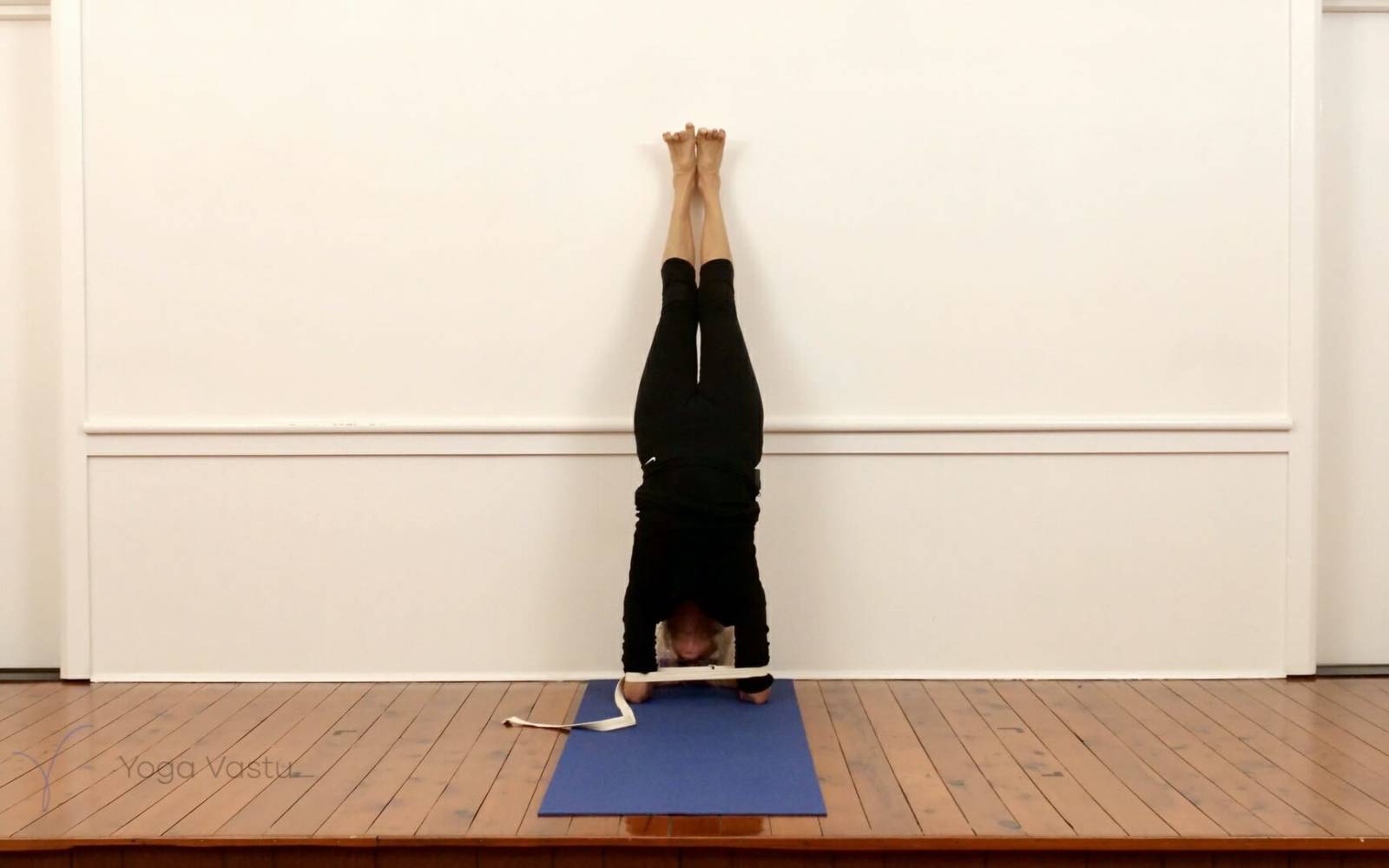 Online Iyengar yoga videos | Standing Poses for General Students (211)