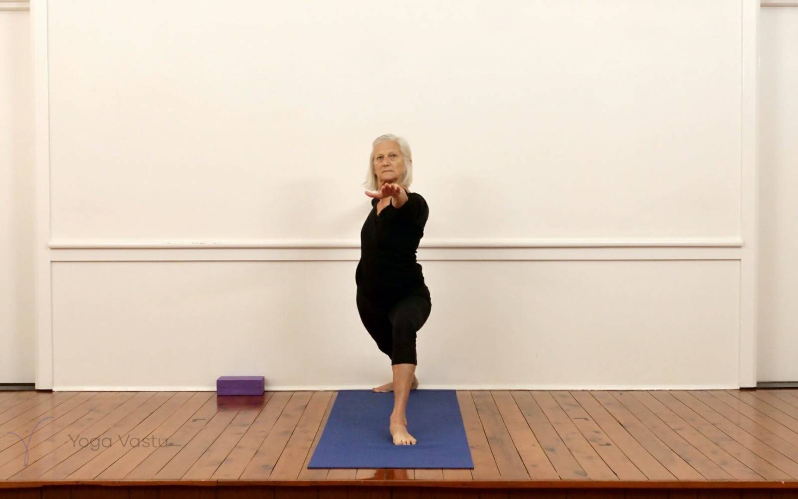 Online Iyengar yoga videos | Standing Poses for General Students (211)