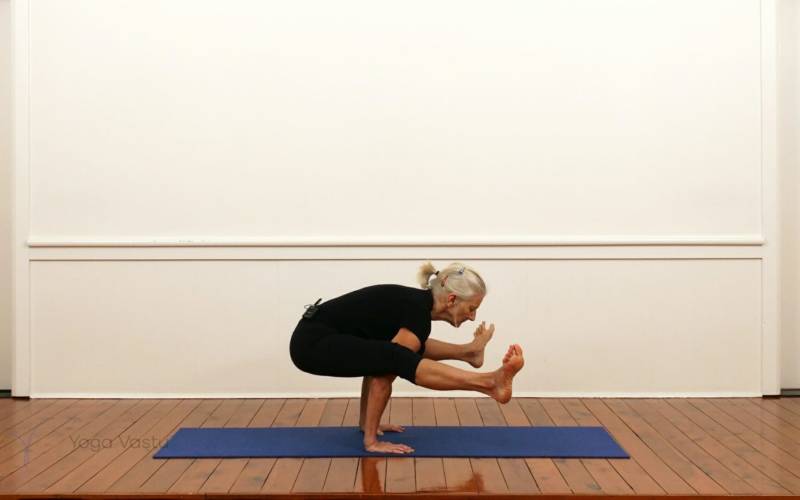 Tittibasana pose