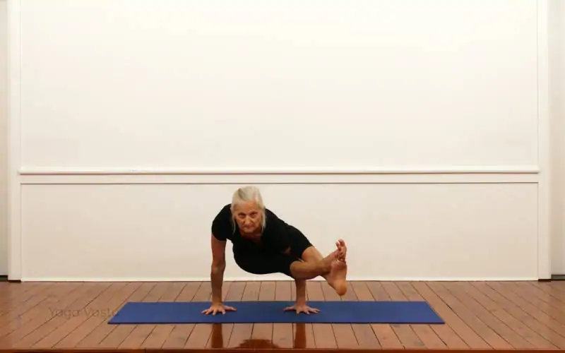 Asta Vakrasana pose