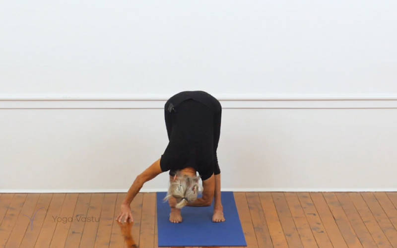 Parsva Uttanasana pose