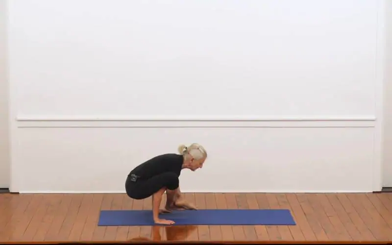 Dvi Hasta Bhujasana pose