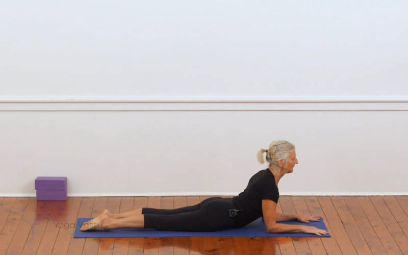 Salamba Bhujangasana pose