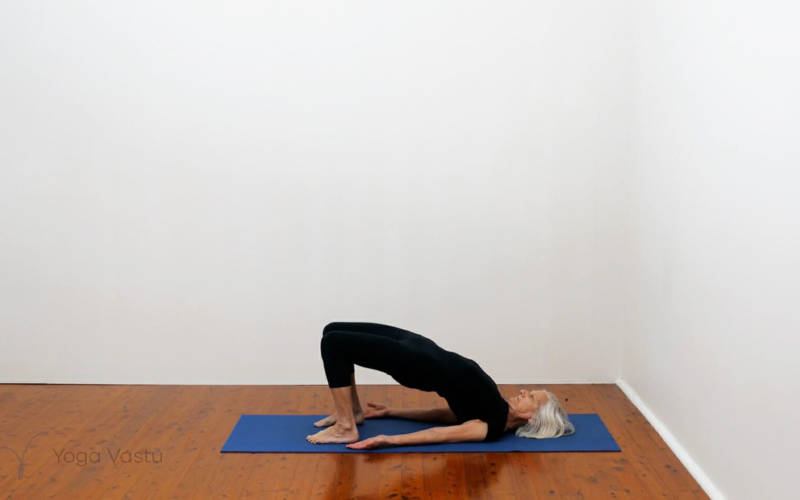 Setu Bandha Sarvangasana pose