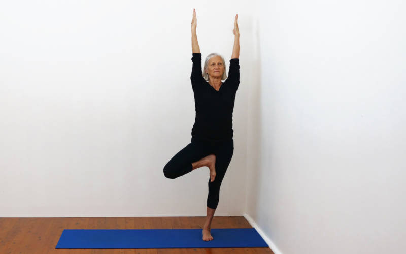Vrksasana pose