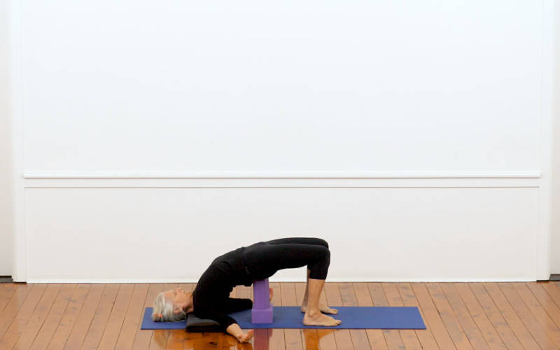 Four Limbed Staff Pose Flow Yoga (Chaturanga Dandasana Vinyasa