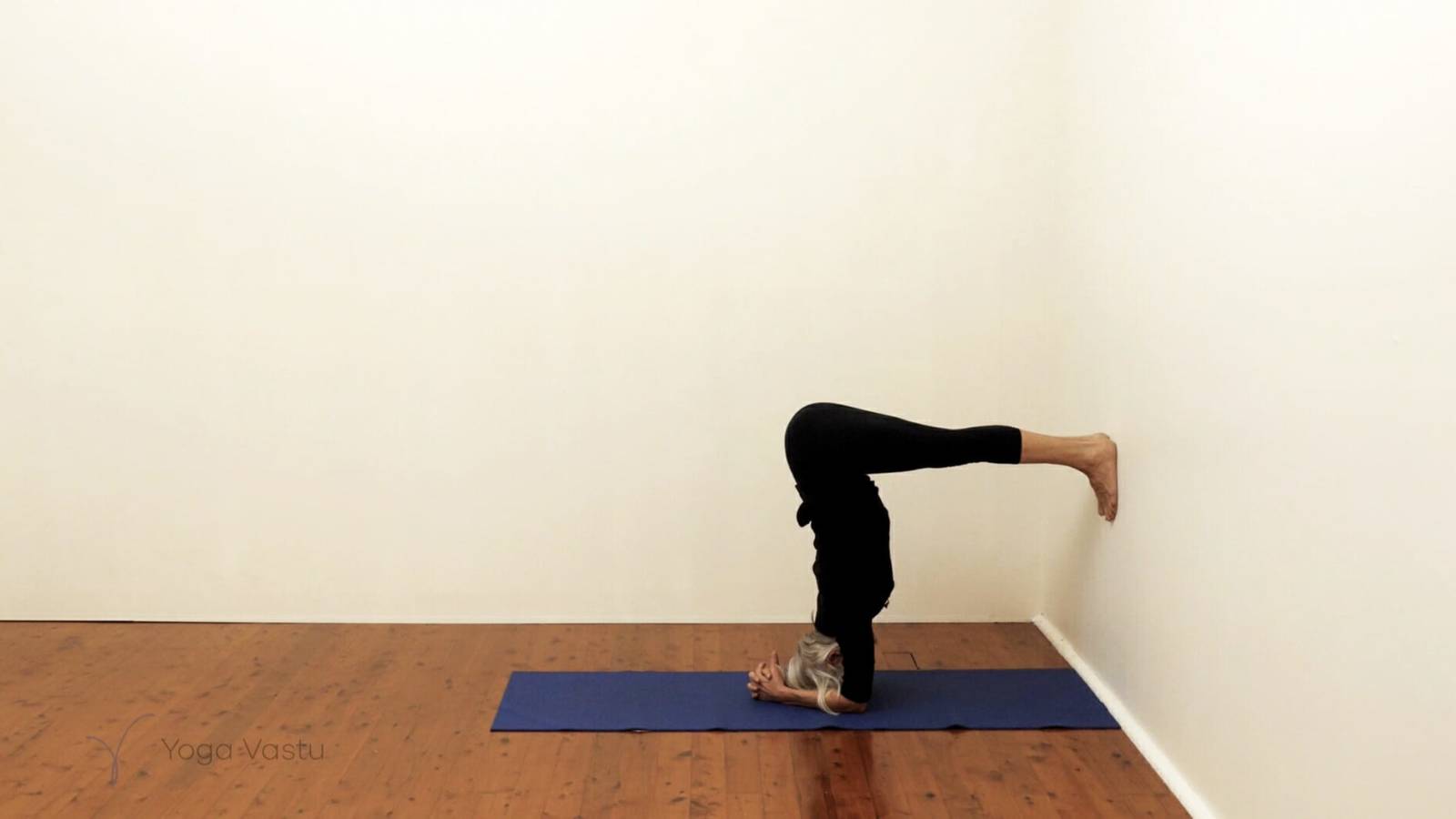 General Level Shoulders, Abdominals and Hips