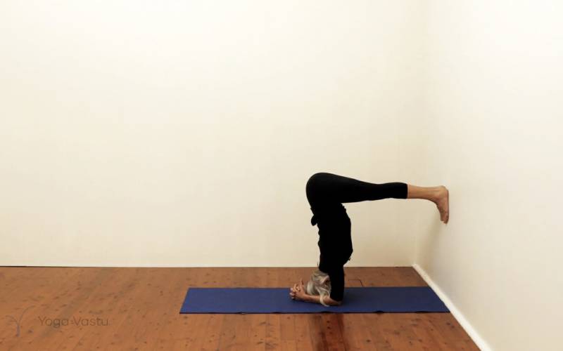 Standing Split Pose: Urdhva Prasarita Eka Padasana