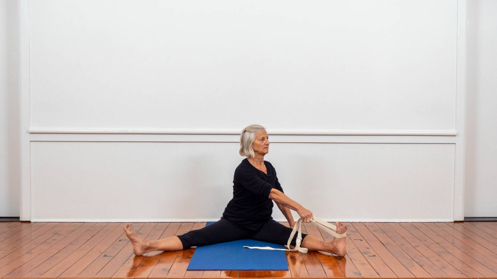 Forward bends with groin and hip opening focus (217)