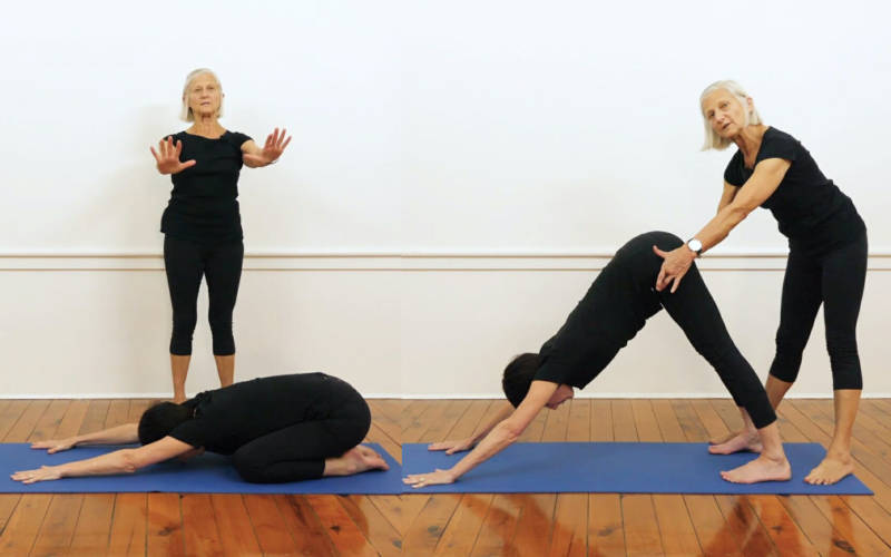 Virasana Forward into Adho Mukha Svanasana pose