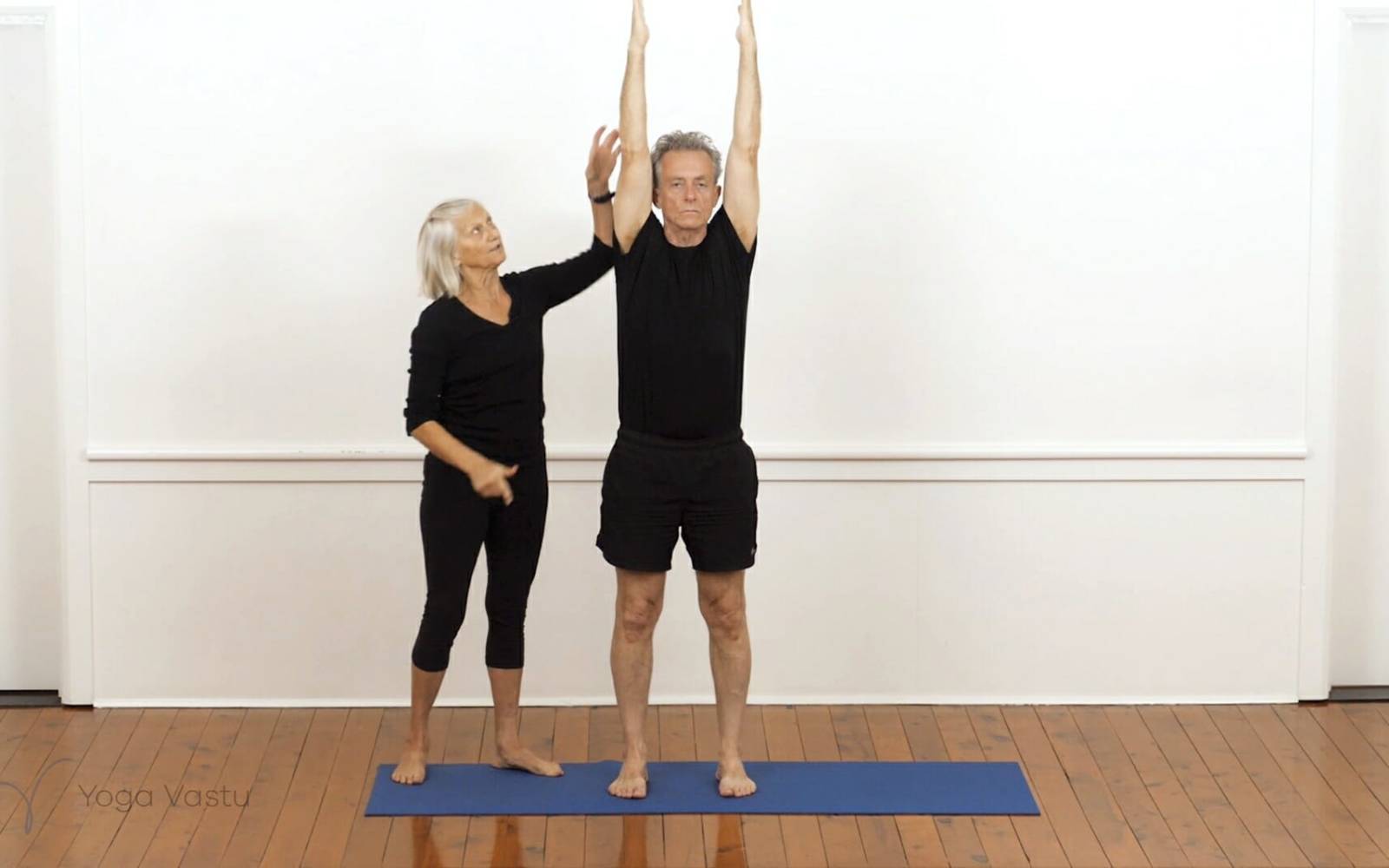 Online Iyengar yoga videos | Iyengar yoga for beginners class 4