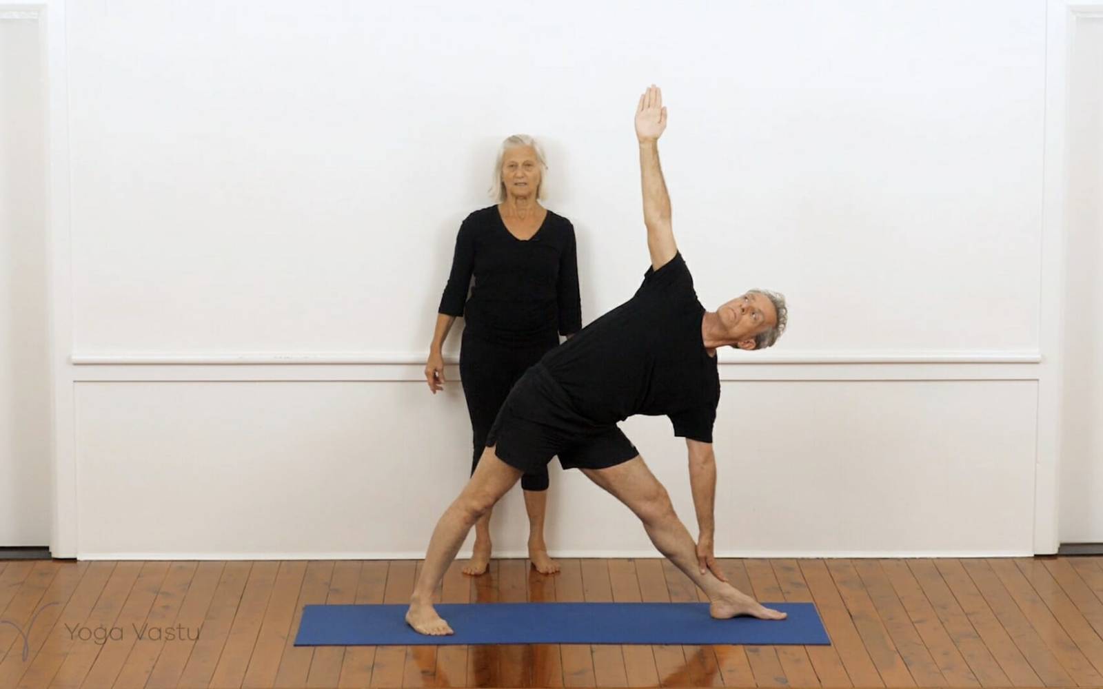 Online Iyengar yoga videos | Iyengar yoga for beginners class 4