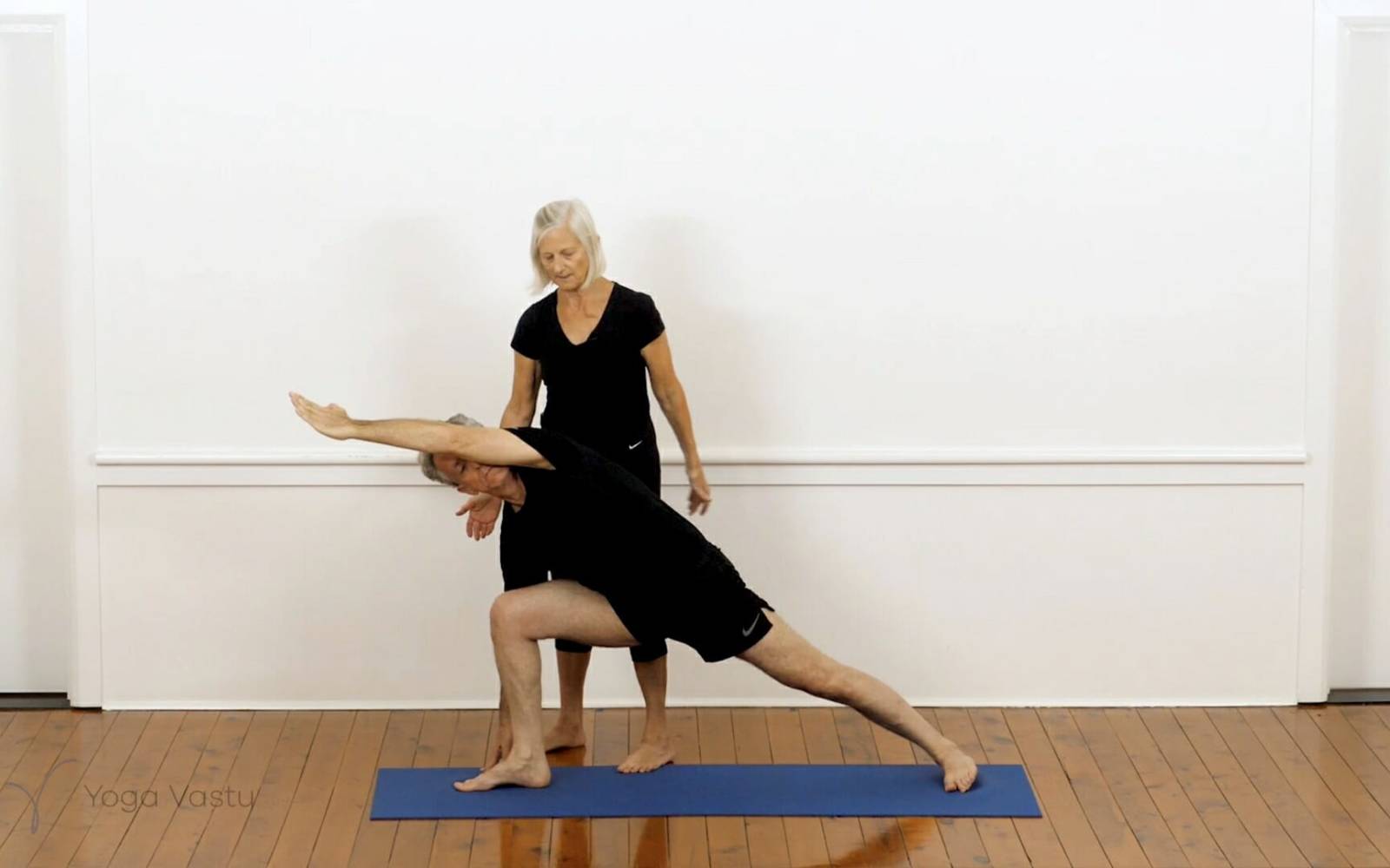 Online Iyengar yoga videos | Iyengar yoga for beginners class 4