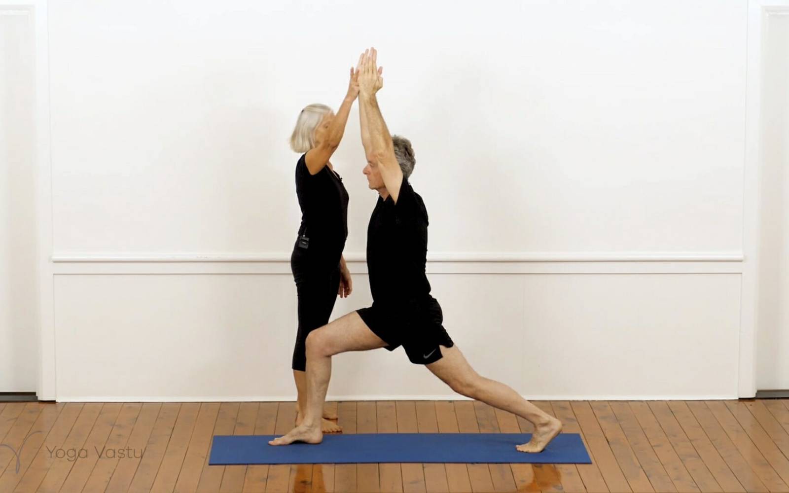 Online Iyengar yoga videos | Iyengar yoga for beginners class 4