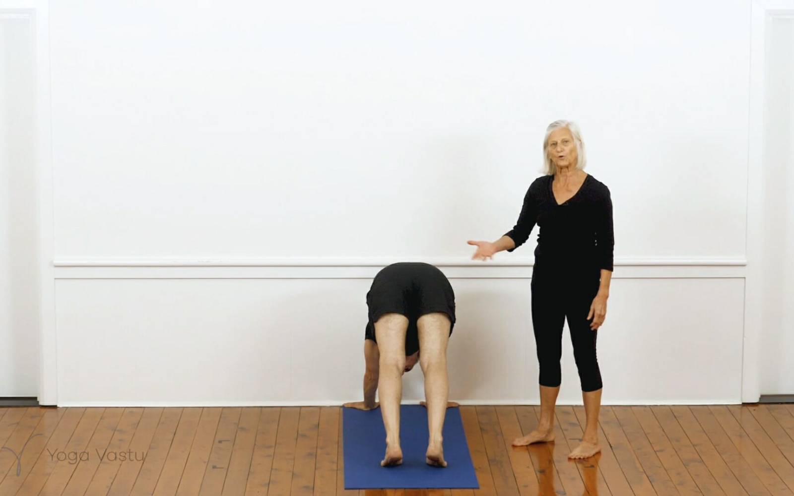 Iyengar yoga for beginners class 5 - Yoga Vastu