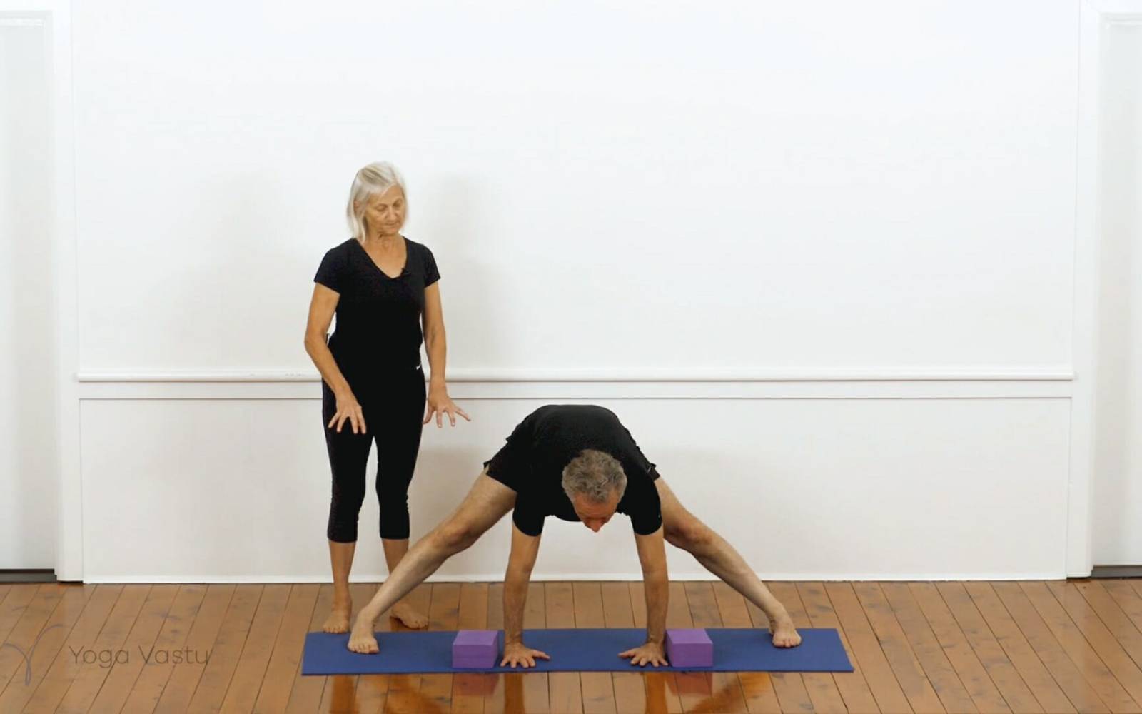 Online Iyengar yoga videos | Iyengar yoga for beginners class 5