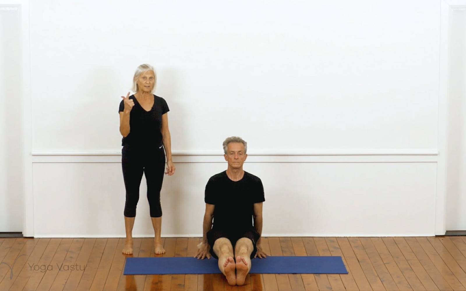 Online Iyengar yoga videos | Iyengar yoga for beginners class 5