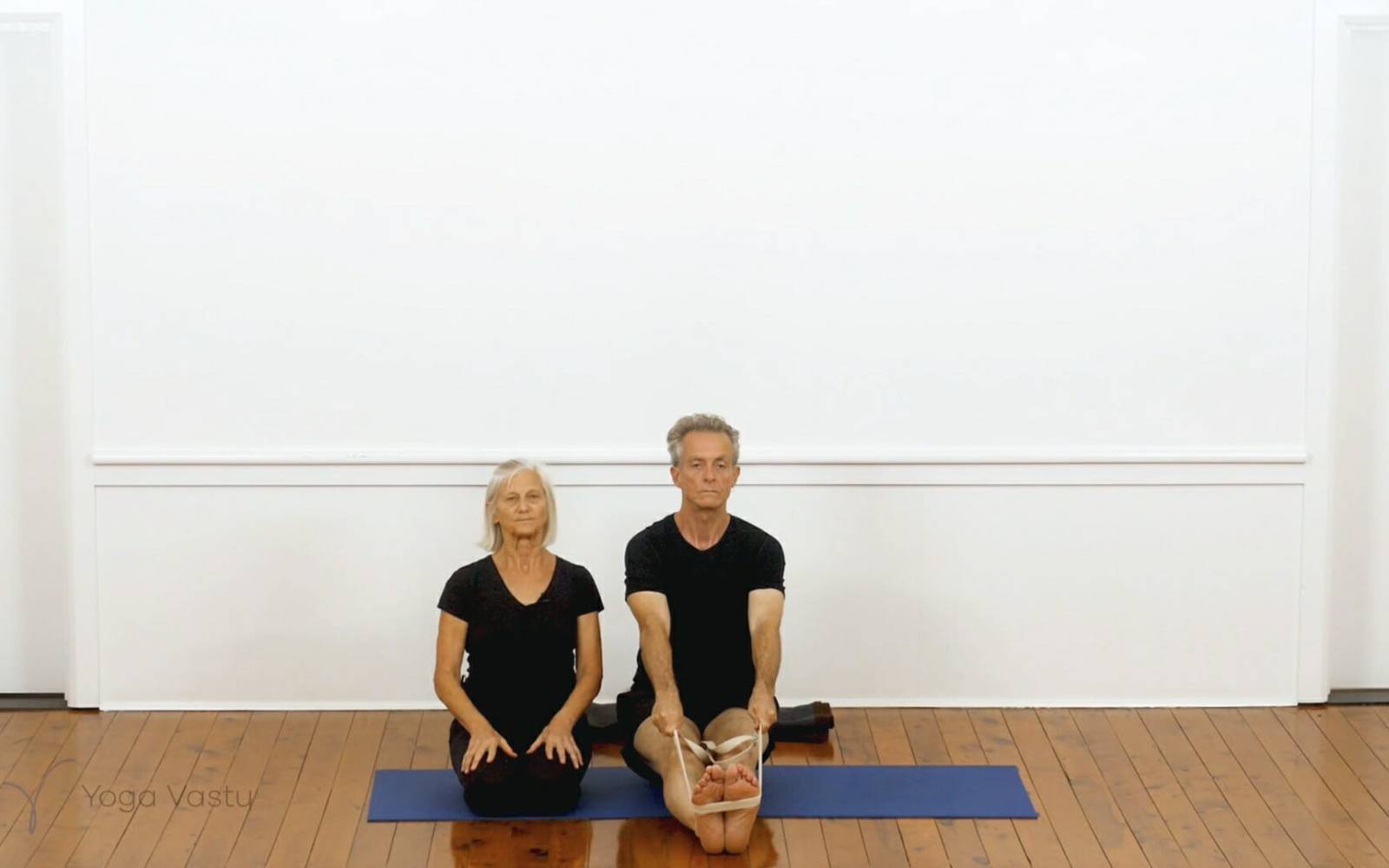 Online Iyengar yoga videos | Iyengar yoga for beginners class 5