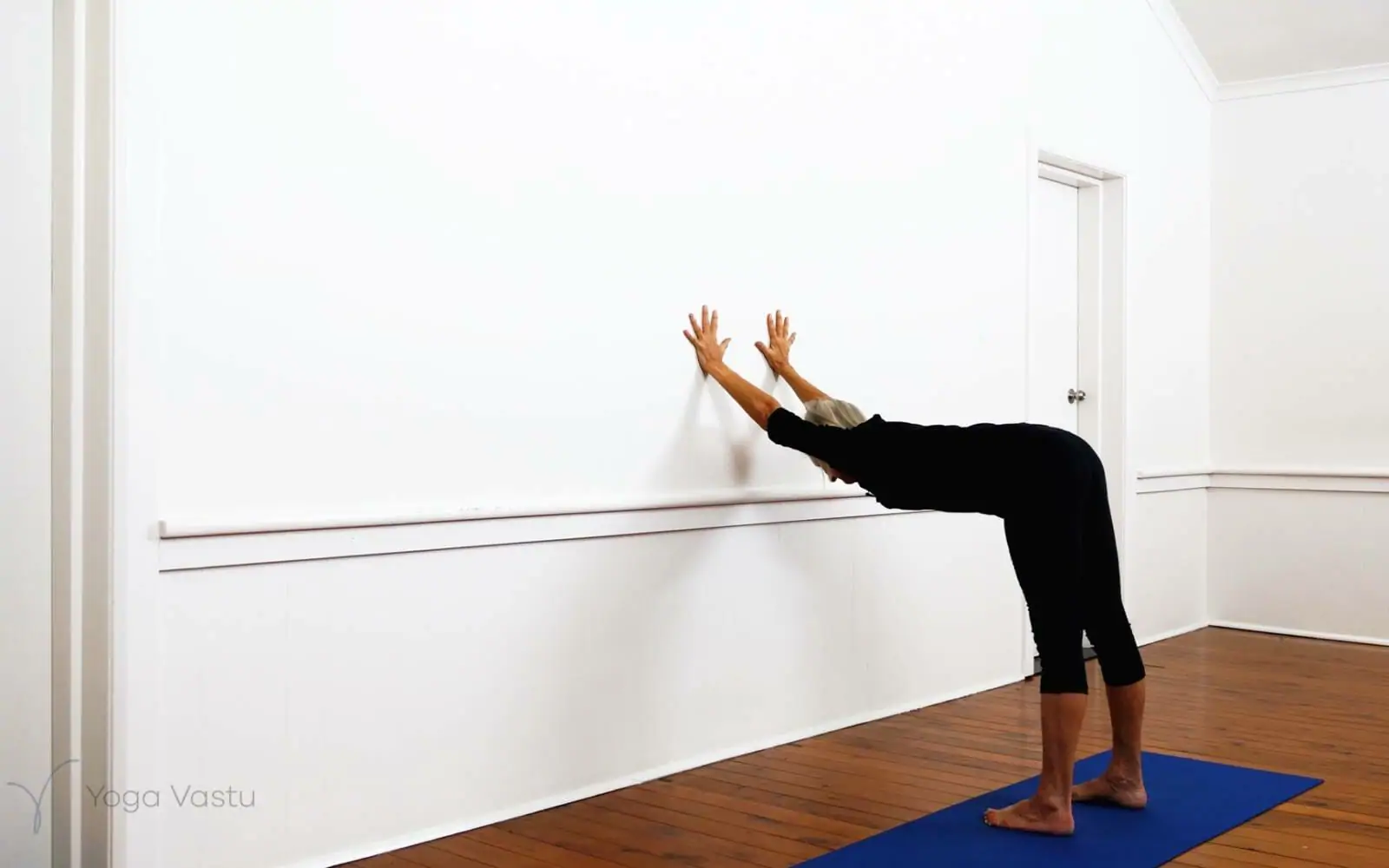 Online Iyengar yoga videos | Iyengar Yoga for Beginners (No Props) Session 1