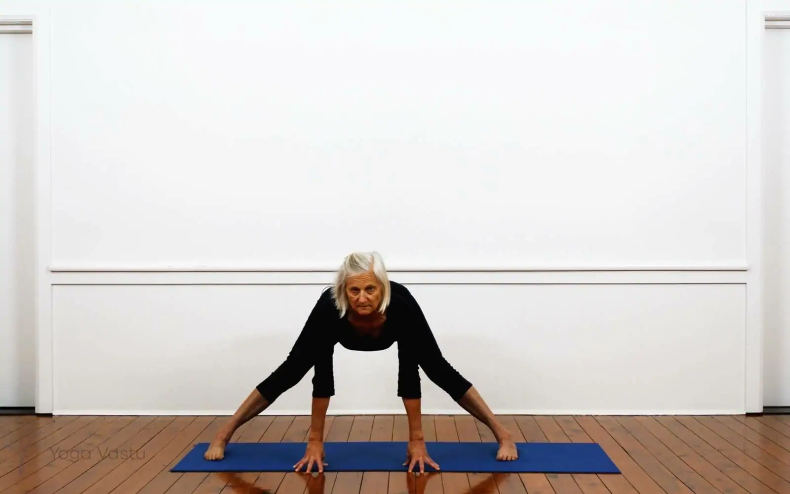 Online Iyengar yoga videos | Iyengar Yoga for Beginners (No Props) Session 1