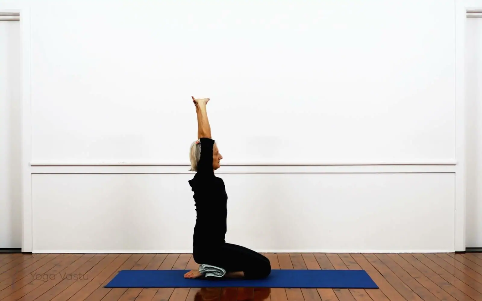 Online Iyengar yoga videos | Iyengar Yoga for Beginners (No Props) Session 1