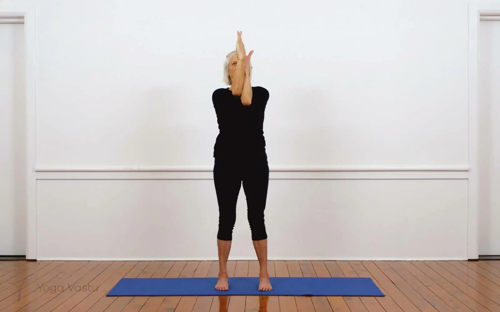 Online Iyengar yoga videos | Iyengar Yoga for Beginners (No Props) Session 2