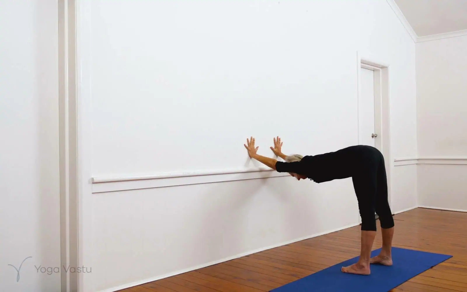 Online Iyengar yoga videos | Iyengar Yoga for Beginners (No Props) Session 2