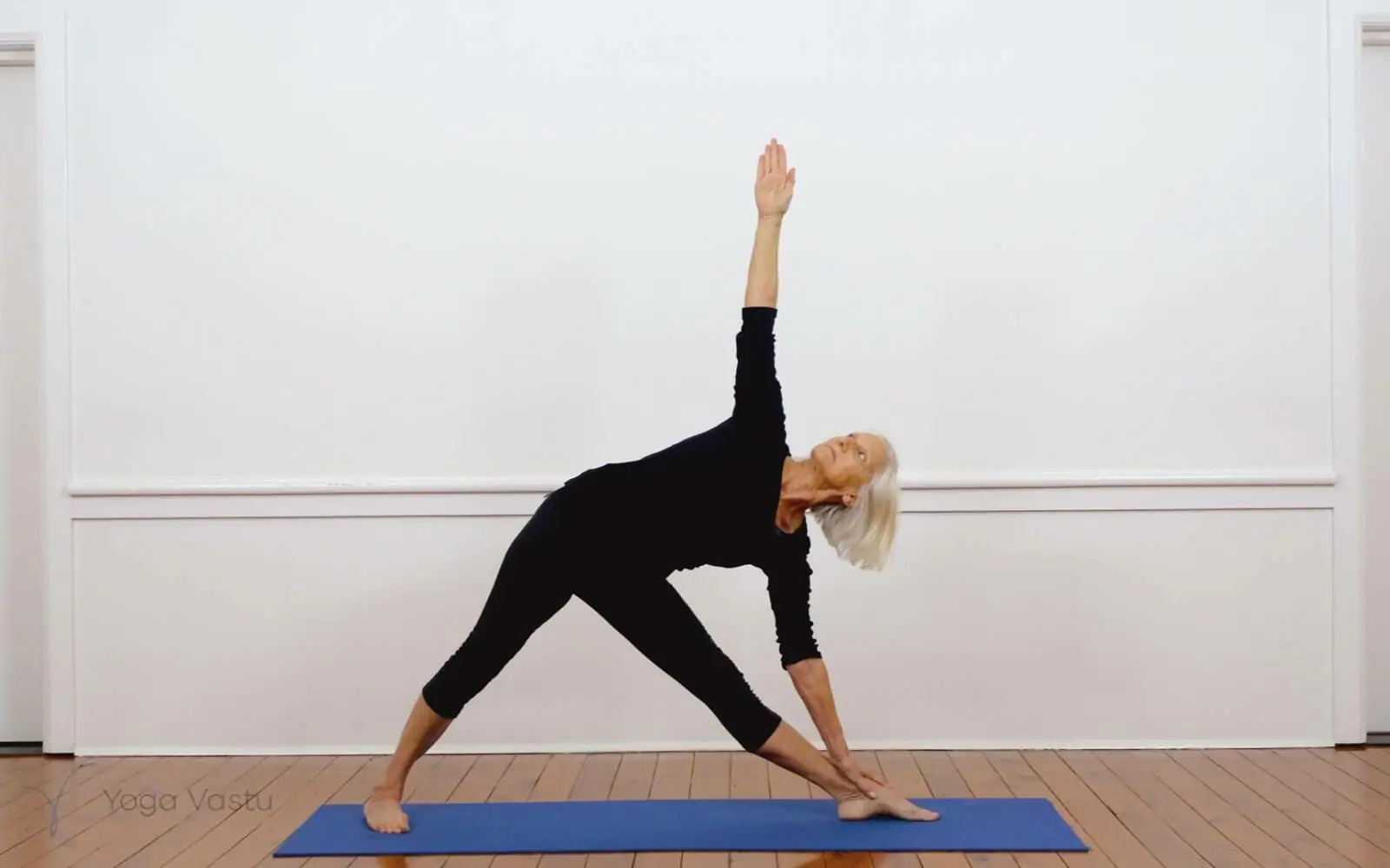 Online Iyengar yoga videos | Iyengar Yoga for Beginners (No Props) Session 2
