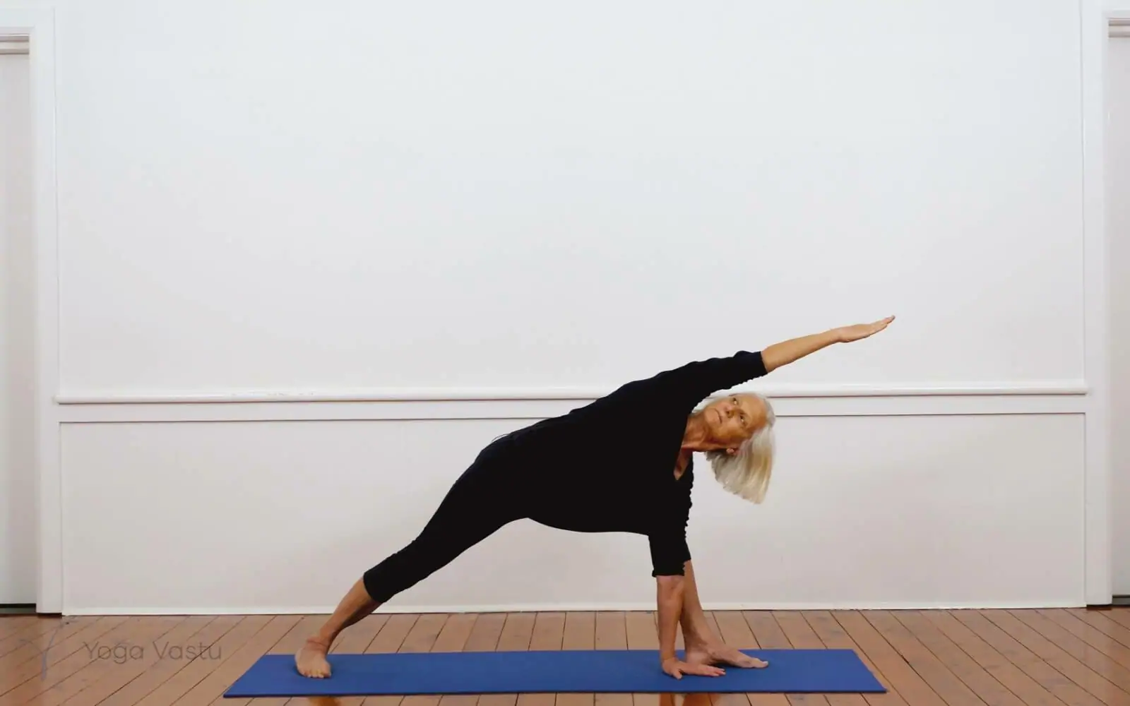 Online Iyengar yoga videos | Iyengar Yoga for Beginners (No Props) Session 2