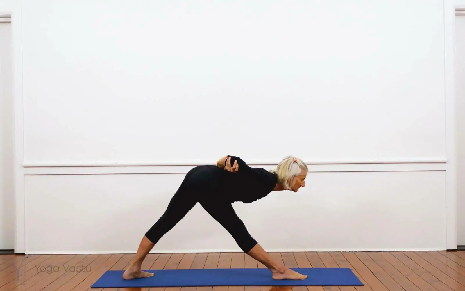 Online Iyengar yoga videos | Iyengar Yoga for Beginners (No Props) Session 2