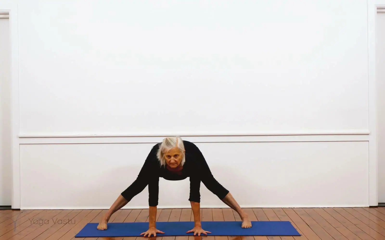 Online Iyengar yoga videos | Iyengar Yoga for Beginners (No Props) Session 2