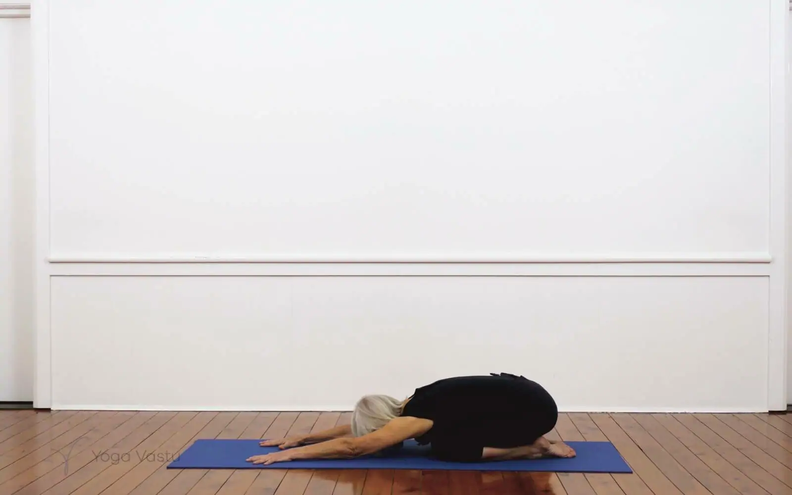 Online Iyengar yoga videos | Iyengar Yoga for Beginners (No Props) Session 3
