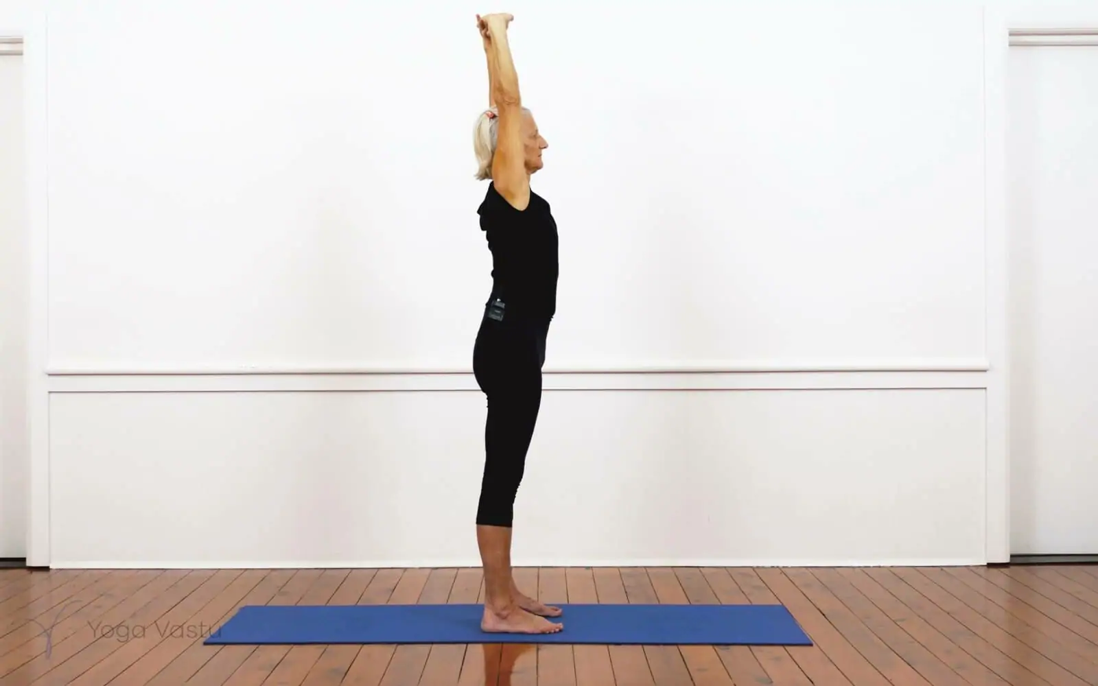 Online Iyengar yoga videos | Iyengar Yoga for Beginners (No Props) Session 3
