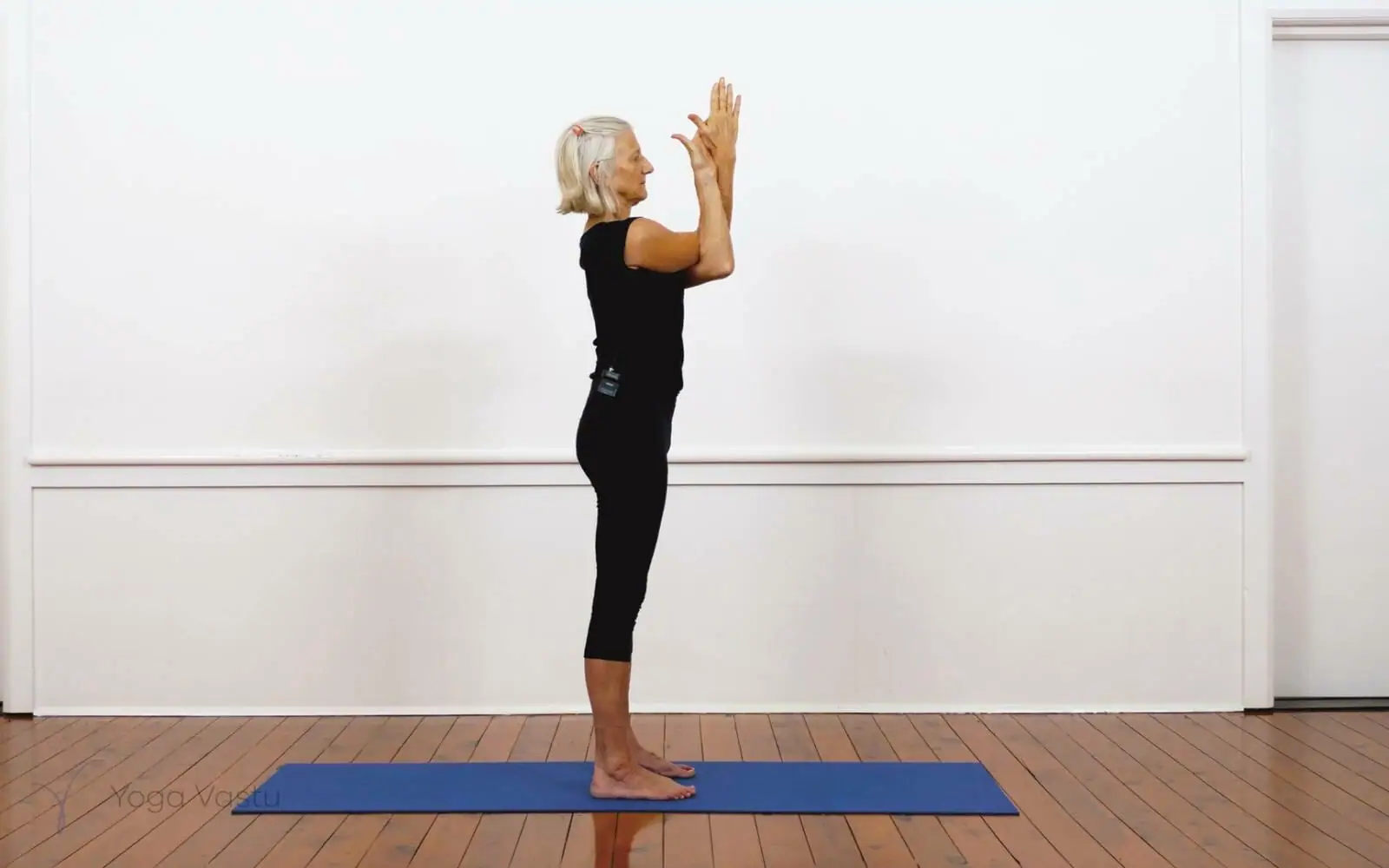Online Iyengar yoga videos | Iyengar Yoga for Beginners (No Props) Session 3