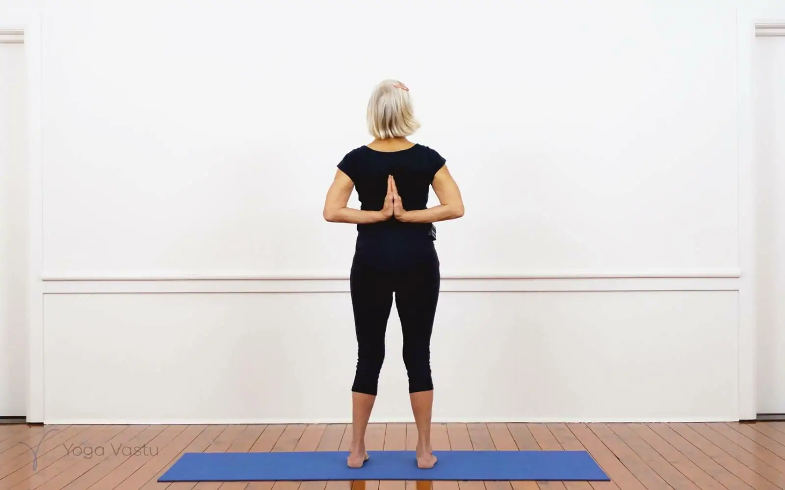 Online Iyengar yoga videos | Iyengar Yoga for Beginners (No Props) Session 3