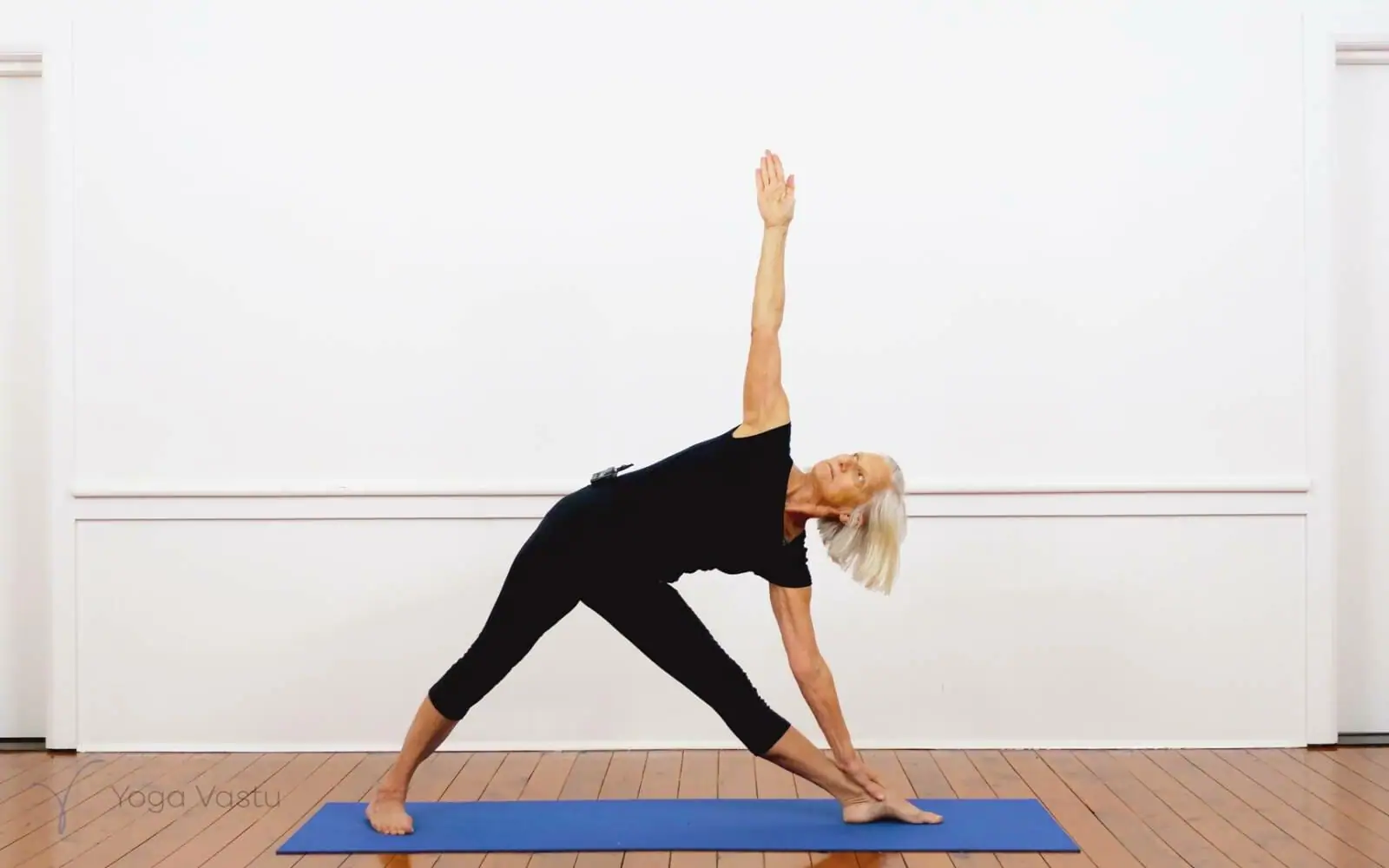 Online Iyengar yoga videos | Iyengar Yoga for Beginners (No Props) Session 3
