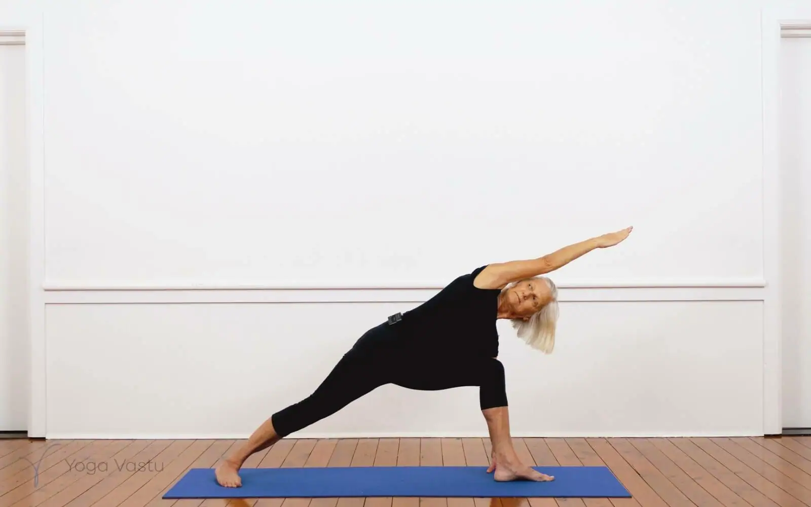 Online Iyengar yoga videos | Iyengar Yoga for Beginners (No Props) Session 3